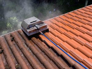 Roof cleaning